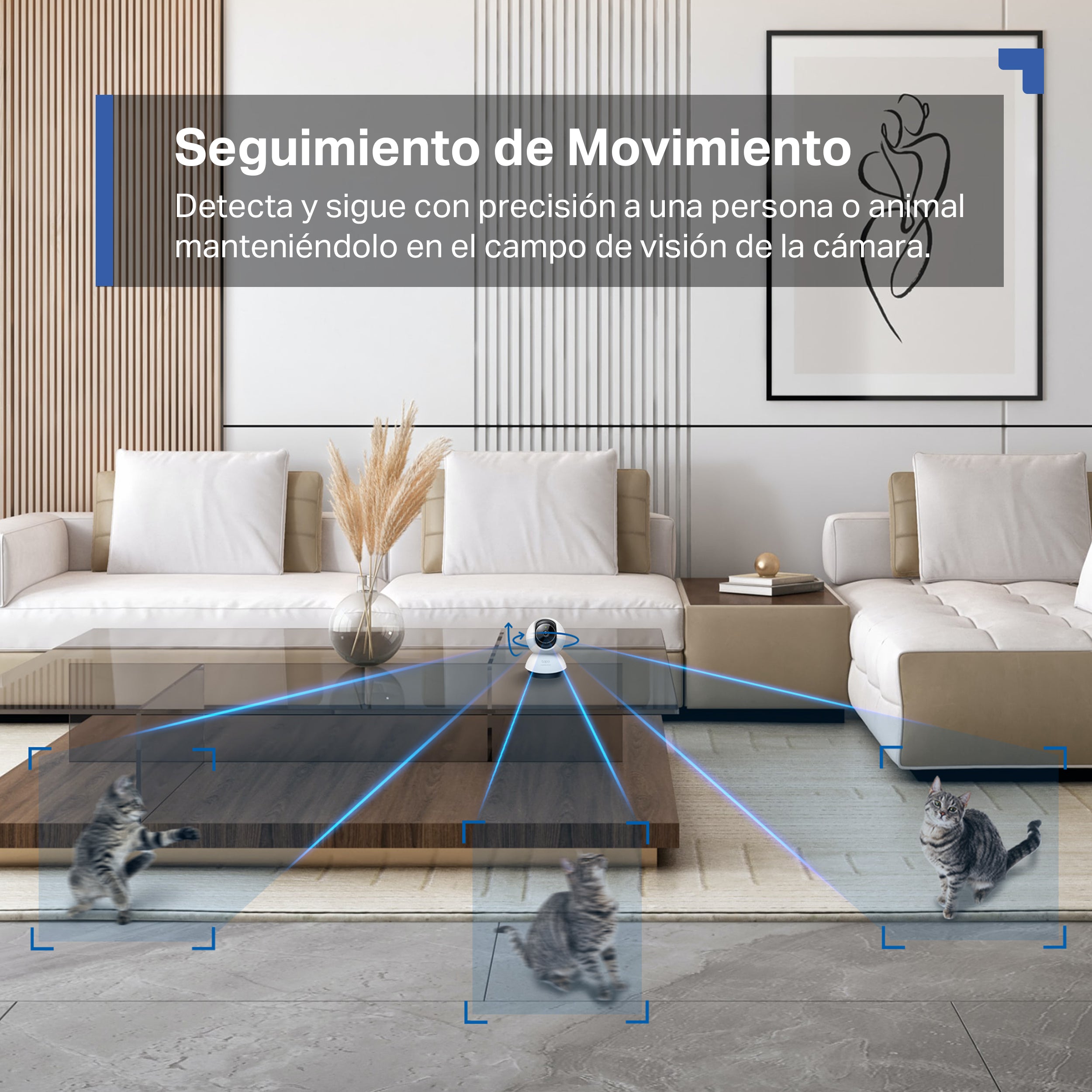Tapo C220 - Cámara de Vigilancia Wi-Fi Inteligente, Rotación 360º, 2K QHD, Detección IA, Visión Nocturna